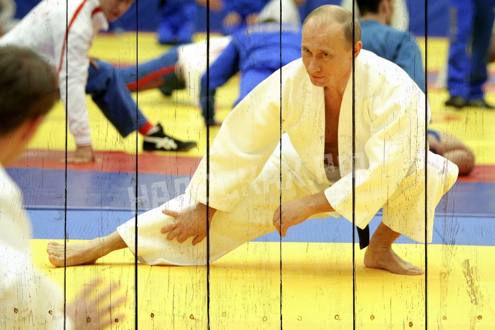 Картина на досках Путин 8