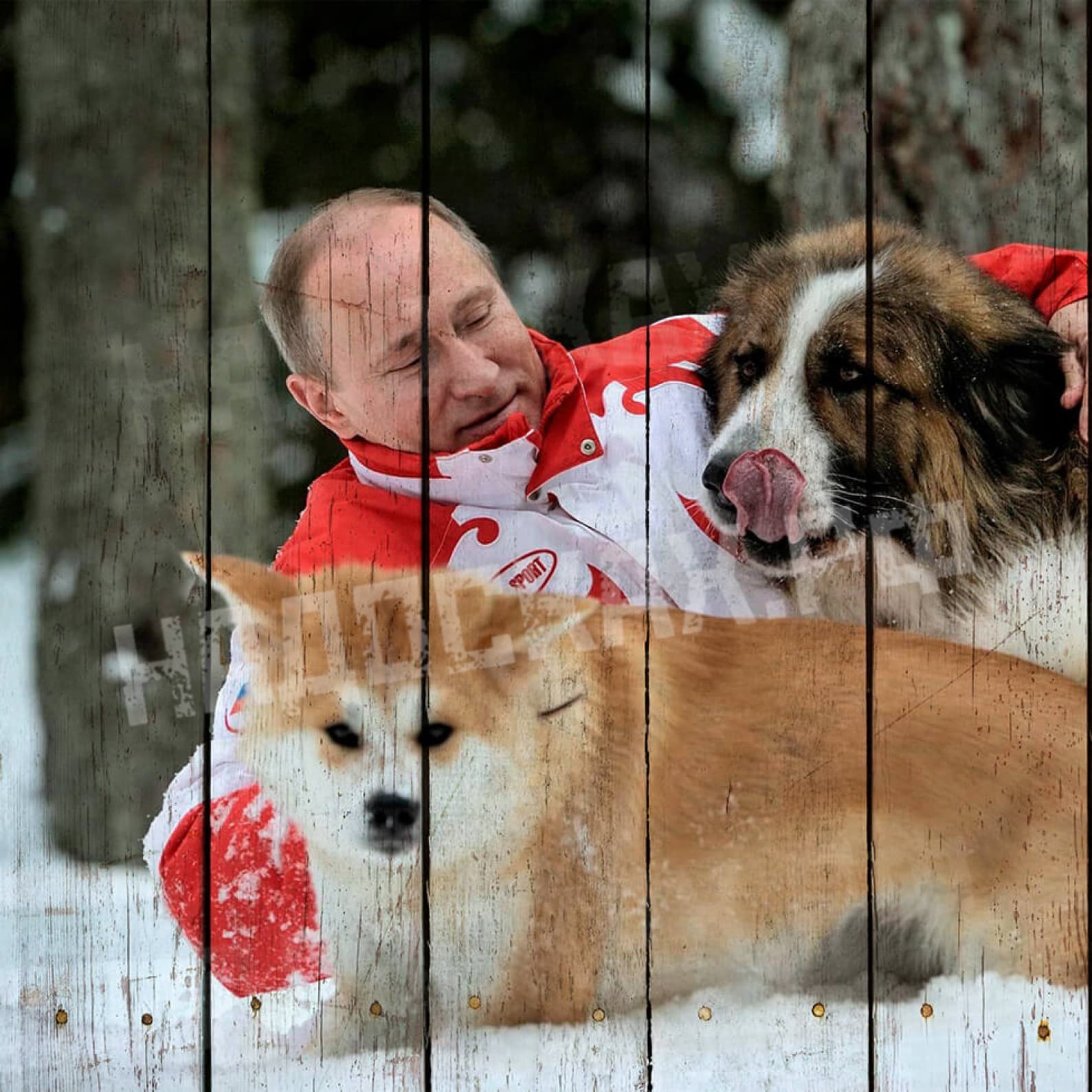 Картина на досках Путин 6