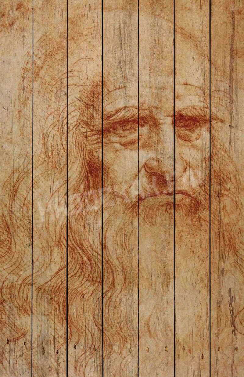 Картина на досках Леонардо да Винчи. Туринский автопортрет Leonardo da Vinci