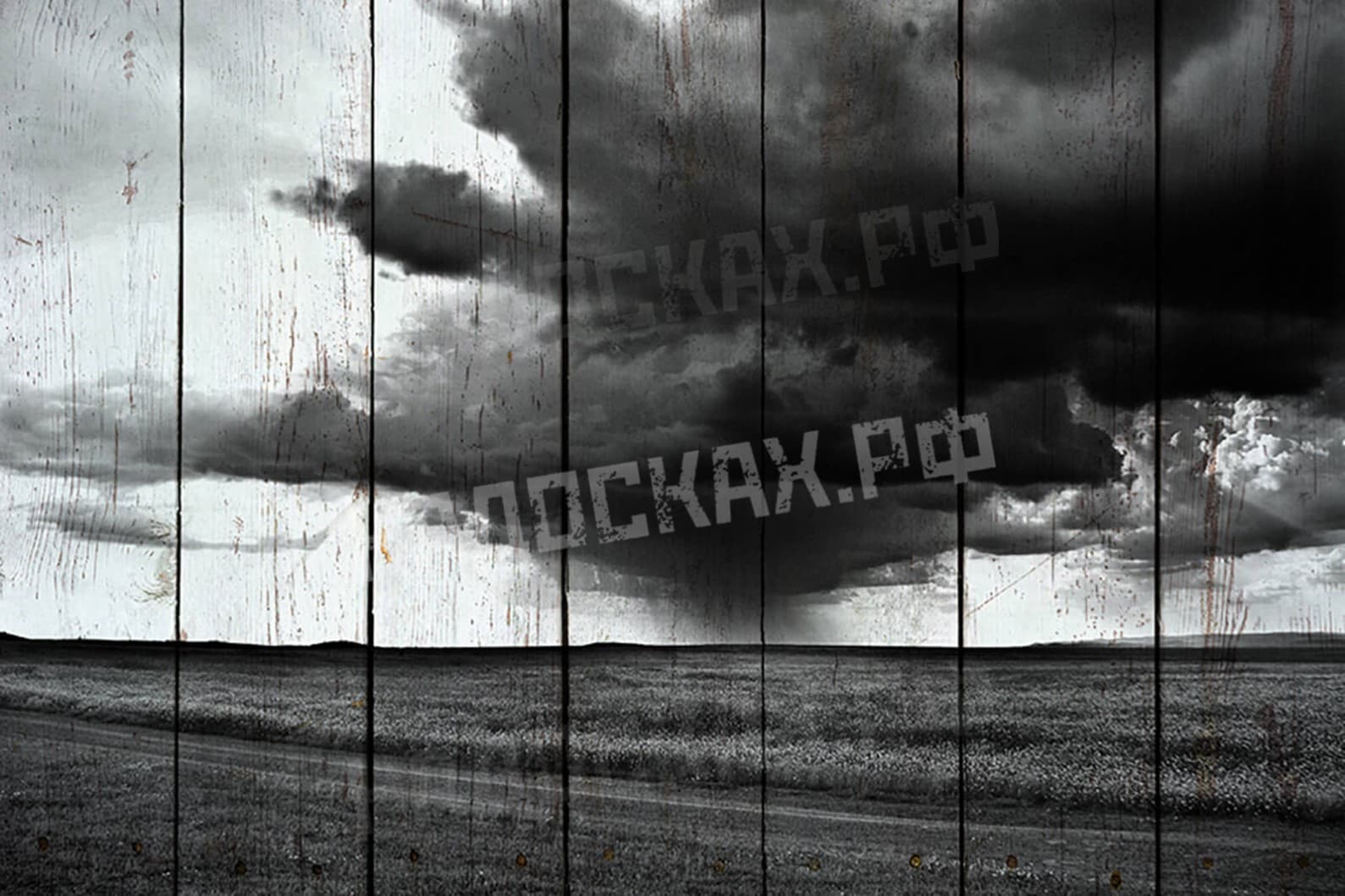 Картина на досках Ч/Б 21
